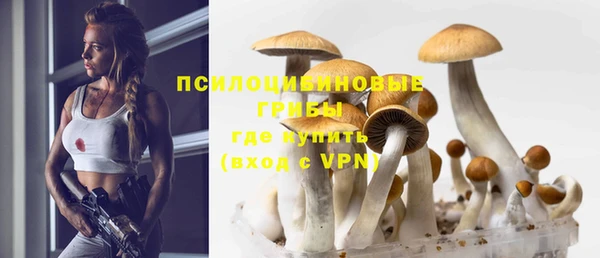 герыч Богородск
